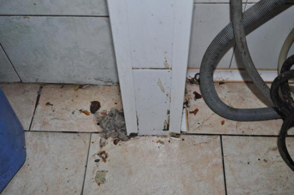 ACI TREZZA: CIBI NON TRACCIABILI E SCARSA IGIENE, TRE LOCALI SANZIONATI - 