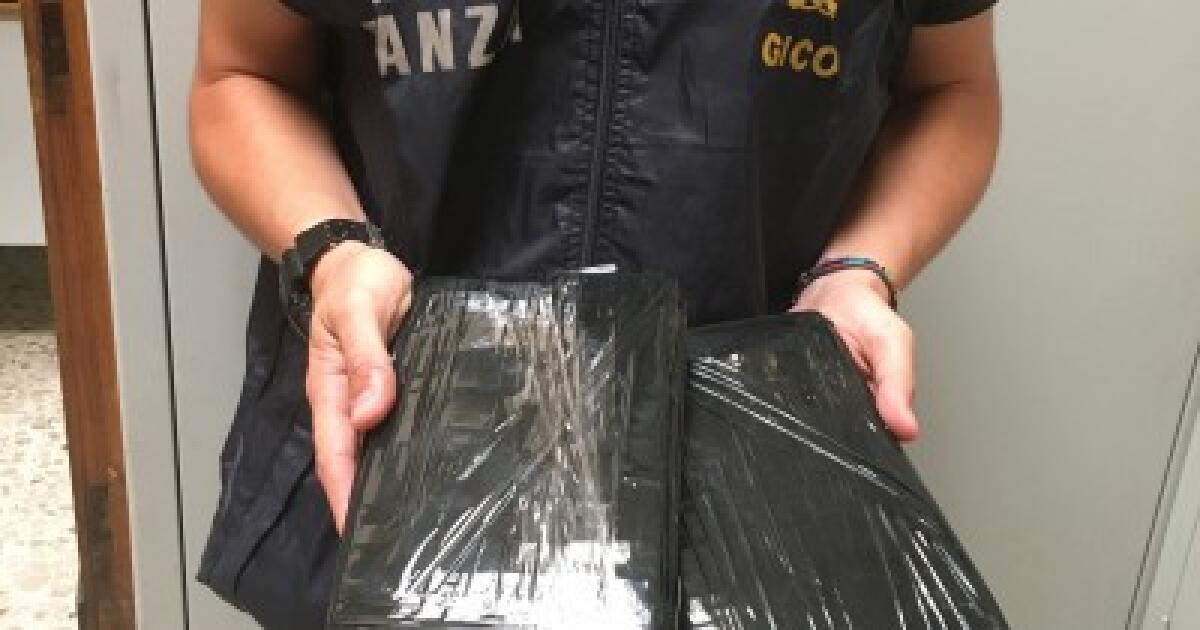 CATANIA: ARRESTATO CORRIERE DELLA DROGA, SEQUESTRATI 2 KG DI COCAINA - 