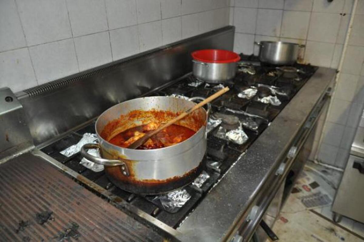 ACI CASTELLO: IGIENE SCADENTE E BLATTE NEL LABORATORIO ALIMENTARE DI UN NOTISSIMO LIDO - 