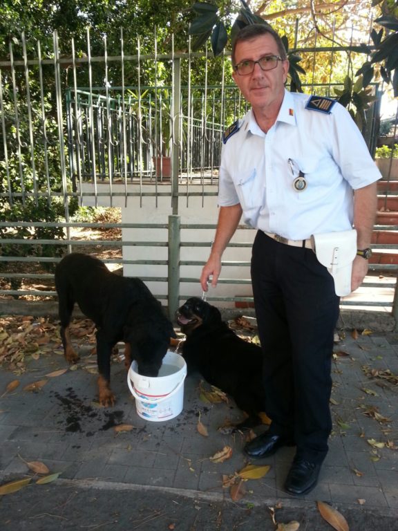 PATERNO': CONTINUANO LE ATTIVITÀ DEI VIGILI URBANI PER CONTRASTARE IL FENOMENO DEL RANDAGISMO