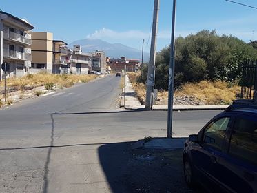 PATERNO' SEGNALAZIONE DI PRESENZA DI ZECCHE