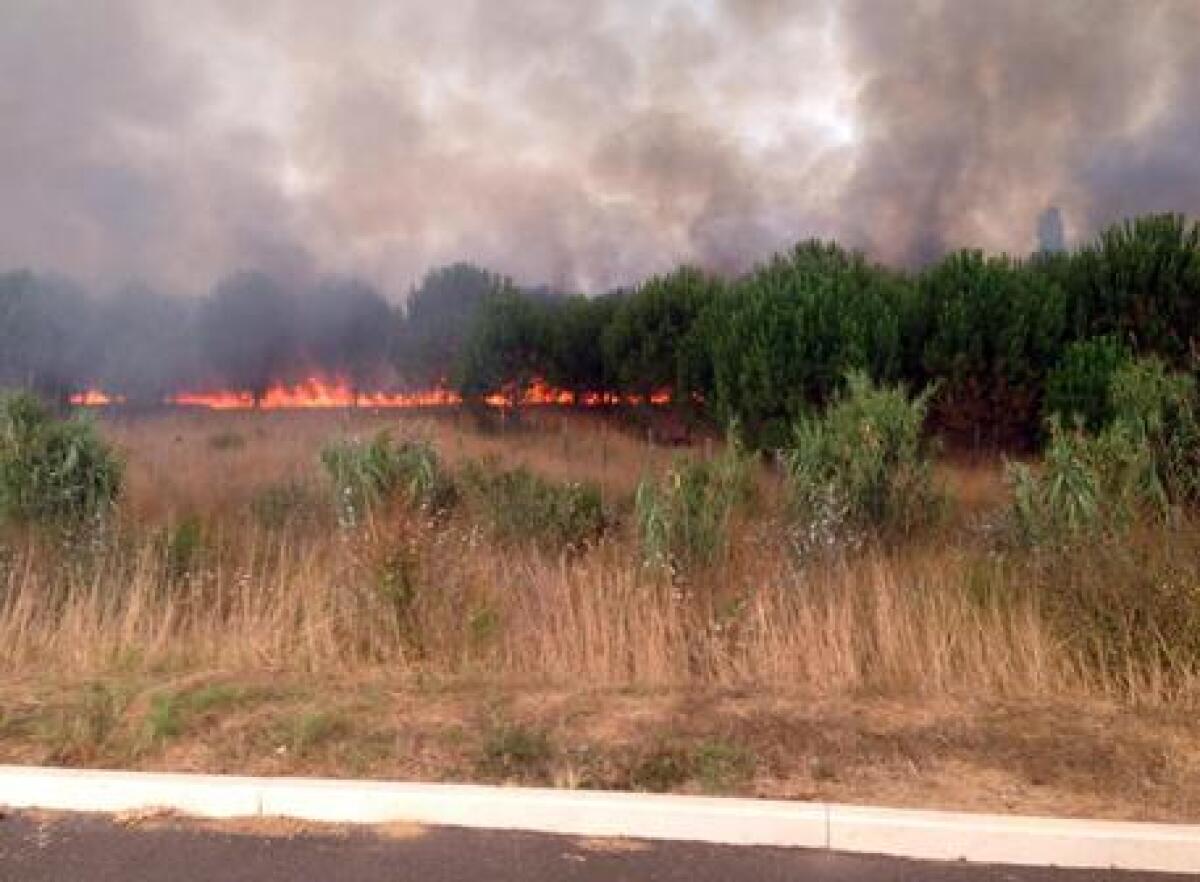RAGUSA: VOLONTARI DEI VIGILI DEL FUOCO APPICCAVANO INCENDI PER GUADAGNARE, 15 INDAGATI - 