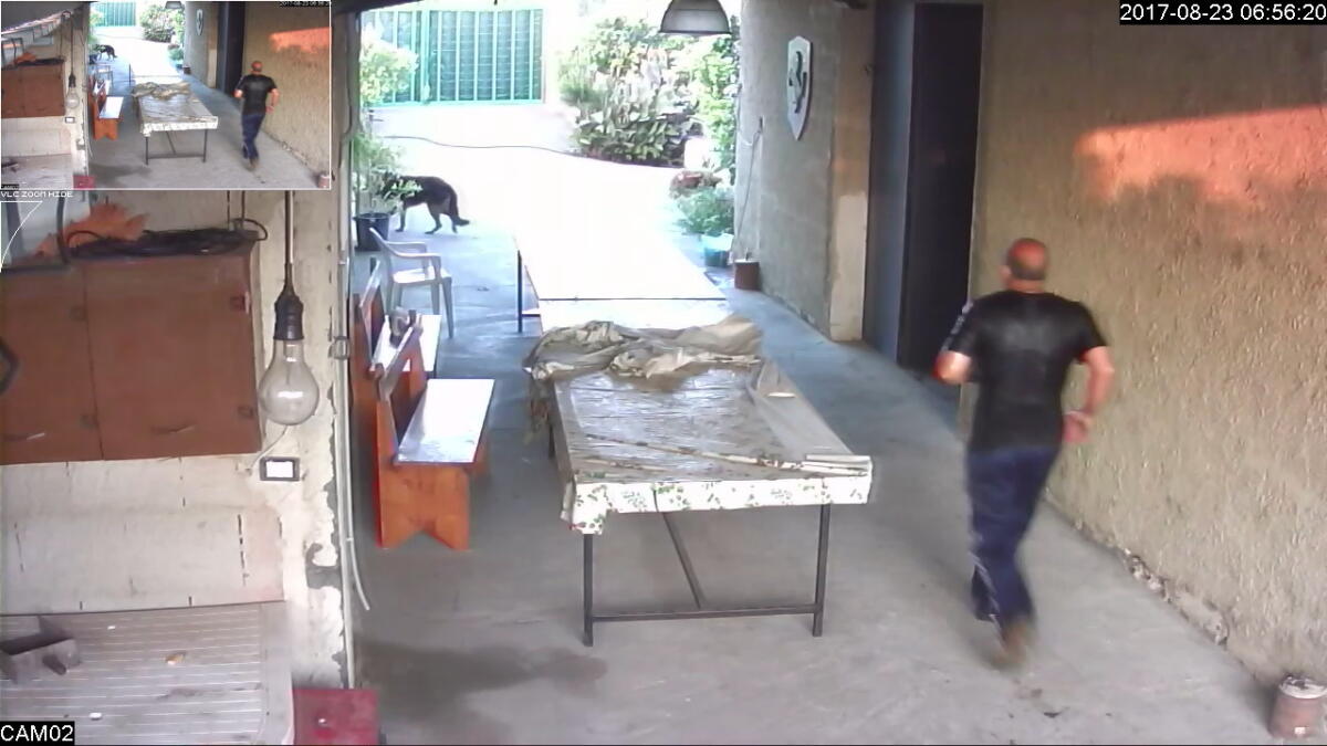 OMICIDIO PALAGONIA: LE IMMAGINI DEL KILLER VIDEO-FOTO I CARABINIERI CHIEDONO LA COLLABORAZIONE DEI CITTADINI - 