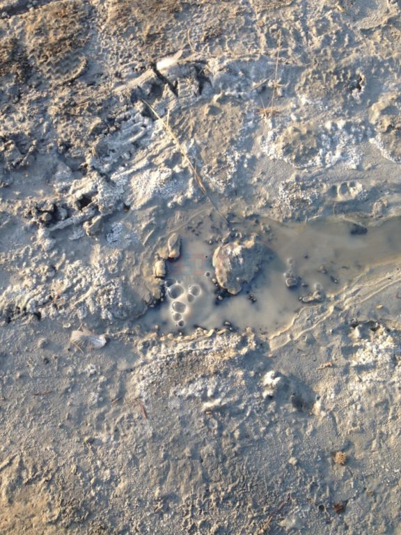 PATERNO': SALINELLE ATTIVITÀ IN ATTO - GALLERIA FOTOGRAFICA