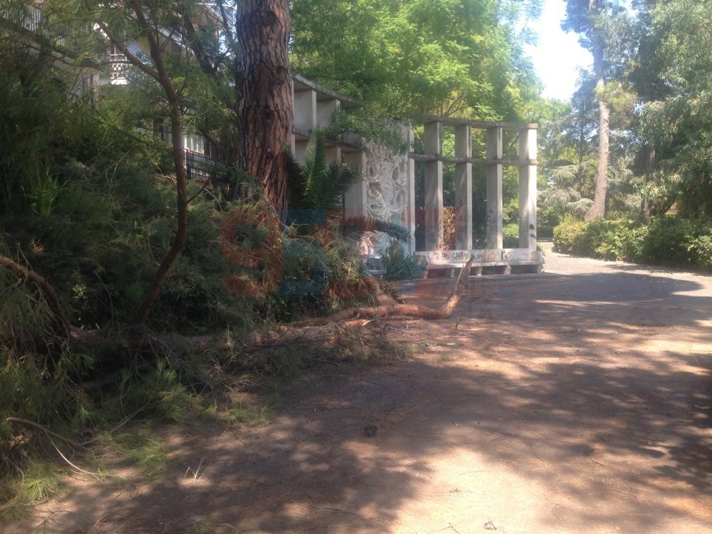 VILLA COMUNALE: RAMI SI STACCANO DA UN GROSSO ALBERO PERICOLO SCAMPATO - LE FOTO