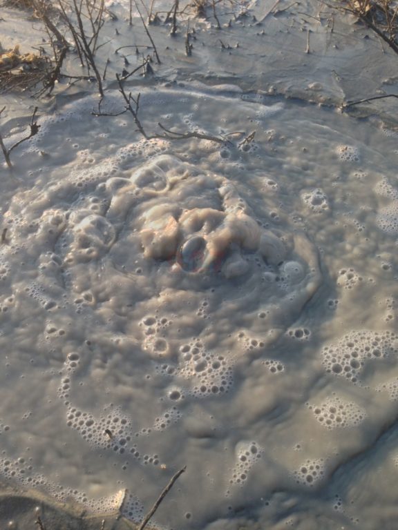 PATERNO': SALINELLE ATTIVITÀ IN ATTO - GALLERIA FOTOGRAFICA