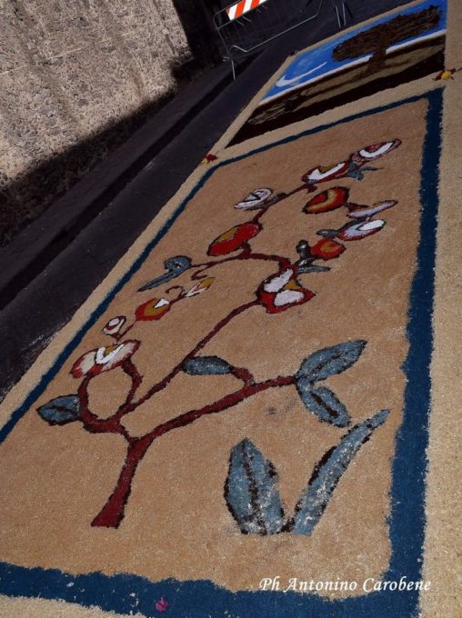 BELPASSO: L' "ECOINFIORATA" REALIZZATA CON I MATERIALI DI SCARTO - FOTO