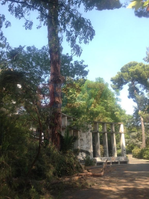 VILLA COMUNALE: RAMI SI STACCANO DA UN GROSSO ALBERO PERICOLO SCAMPATO - LE FOTO