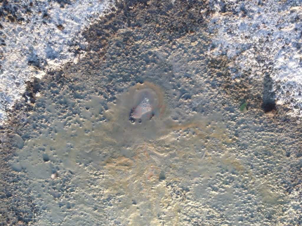 PATERNO': SALINELLE ATTIVITÀ IN ATTO - GALLERIA FOTOGRAFICA