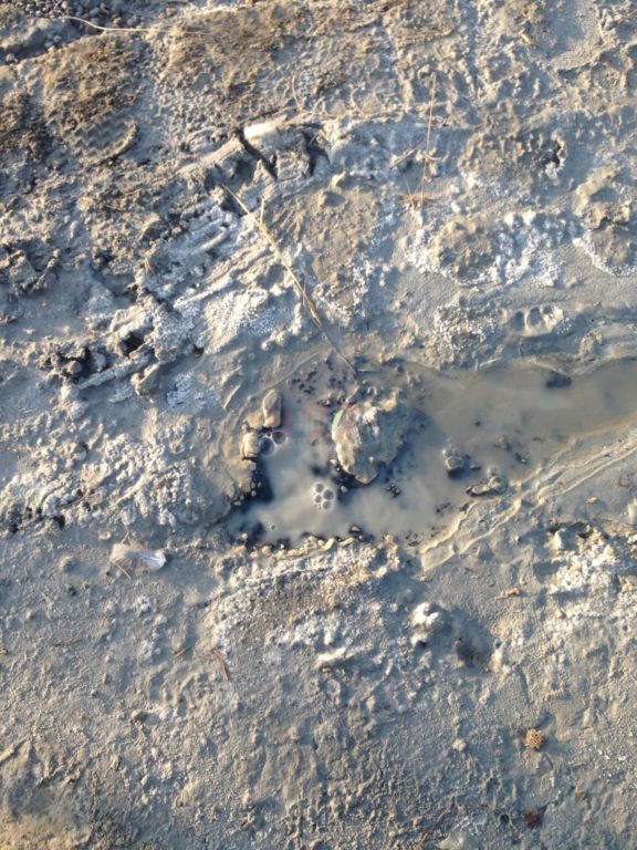 PATERNO': SALINELLE ATTIVITÀ IN ATTO - GALLERIA FOTOGRAFICA