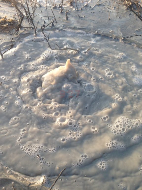 PATERNO': SALINELLE ATTIVITÀ IN ATTO - GALLERIA FOTOGRAFICA