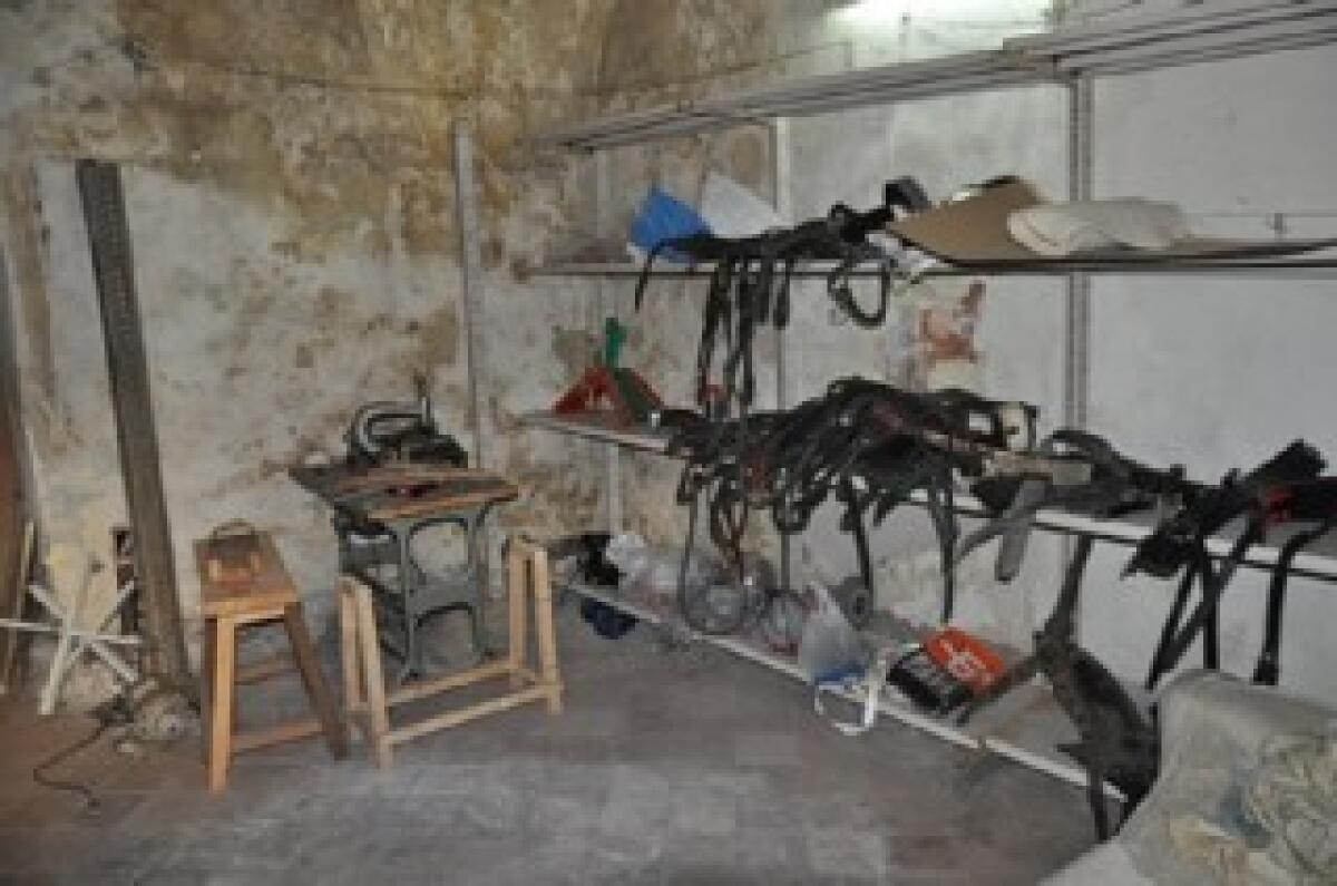 CATANIA: STALLE, MACELLI ABUSIVI E CAVALLI MALTRATTATI, SEQUESTRATI 3 LOCALI - FOTO - 