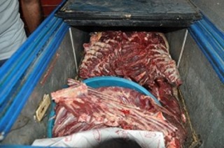 CATANIA: STALLE, MACELLI ABUSIVI E CAVALLI MALTRATTATI, SEQUESTRATI 3 LOCALI - FOTO