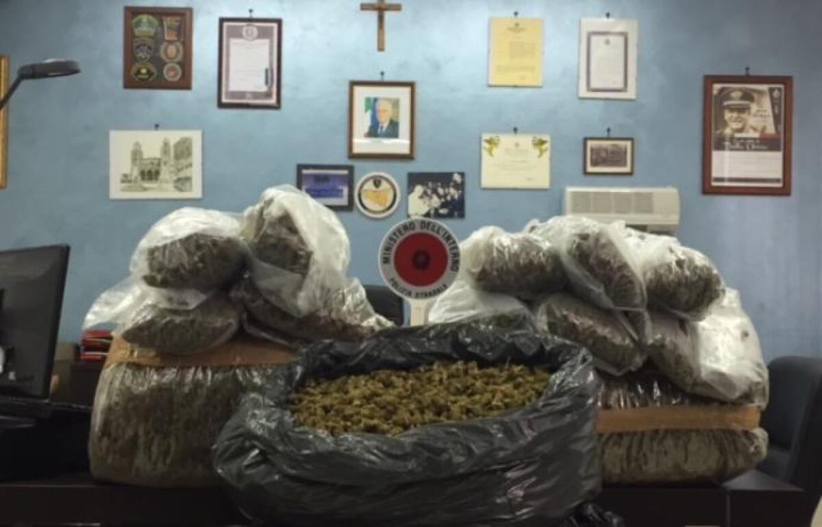 IN AUTOSTRADA CON 36 CHILI DI MARIJUANA, CATANESE ARRESTATO A TERMINI IMERESE - 