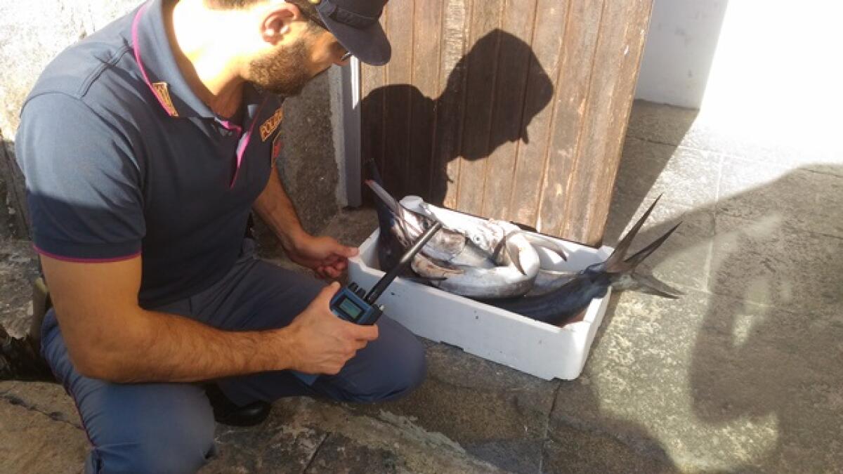 CATANIA: SORPRESO A VENDERE PESCE VIETATO, SCATTA IL SEQUESTRO - 