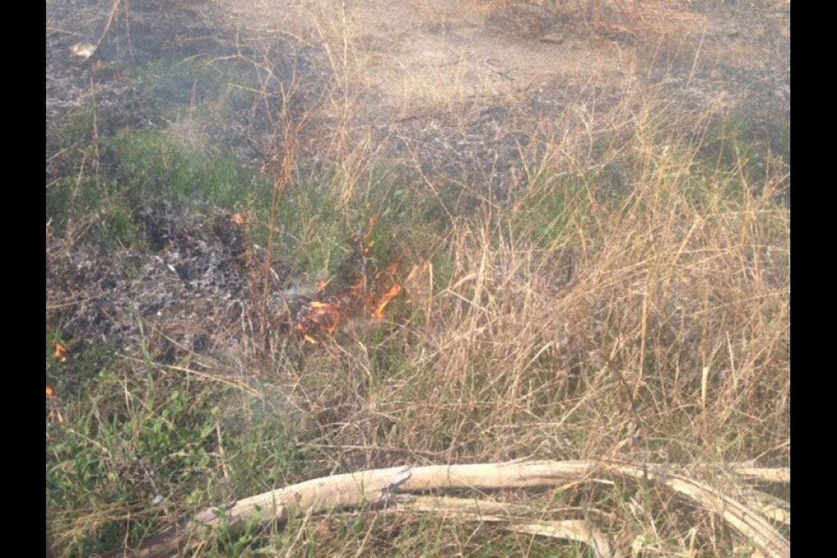 PATERNO’ INCENDIO DI STERPAGLIE IN PIAZZA DELLA GIOVENTU' – FOTO - 