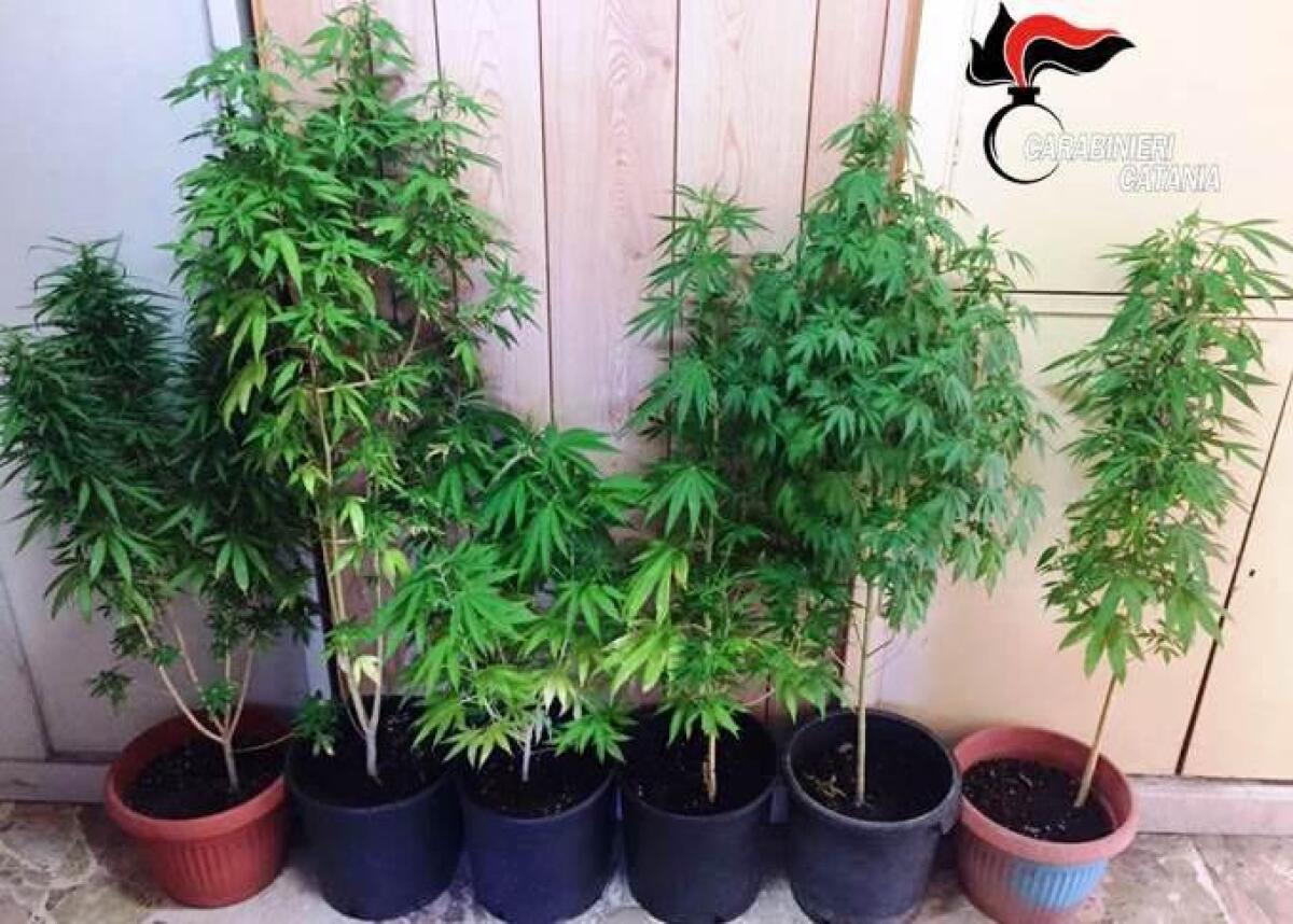 CATANIA: SI FINGONO OPERAI DELL'ENEL MA SONO SPACCIATORI, ARRESTATI - 