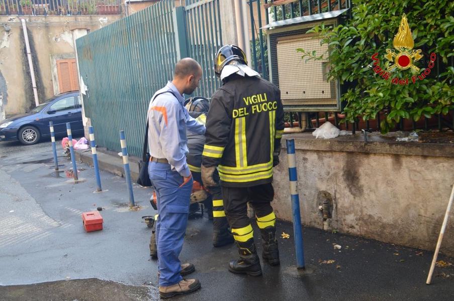 ACIREALE: GATTINO INTRAPPOLATO DENTRO UN PALO DELL’ENEL, SALVATO DAI VIGILI DEL FUOCO - FOTO
