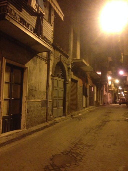 PATERNO': GATTINO SALVATO DAI VVF