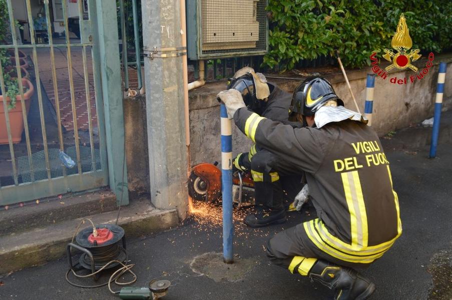 ACIREALE: GATTINO INTRAPPOLATO DENTRO UN PALO DELL’ENEL, SALVATO DAI VIGILI DEL FUOCO - FOTO