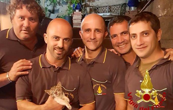 SANT'AGATA LI BATTIATI: INTRAPPOLATO IN UNA GRONDAIA, GATTINO SALVATO DAI VIGILI DEL FUOCO - FOTO