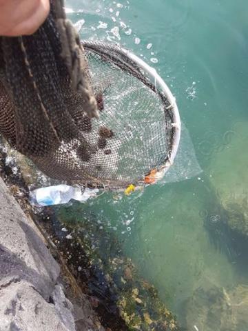 CATANIA: VENDITORE AMBULANTE DI RICCI MULTATO NEL PORTICCIOLO DI OGNINA