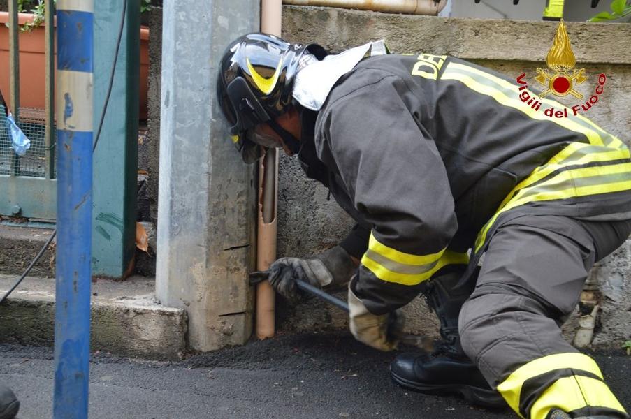 ACIREALE: GATTINO INTRAPPOLATO DENTRO UN PALO DELL’ENEL, SALVATO DAI VIGILI DEL FUOCO - FOTO