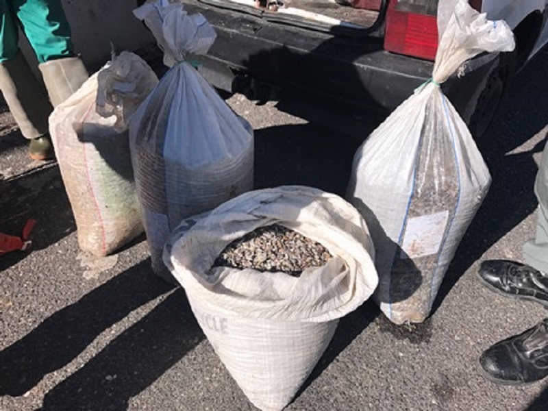 CATANIA: PESCA ILLEGALE NELLA RISERVA DEL SIMETO, SEQUESTRATI OLTRE 200 CHILI DI TELLINE - FOTO