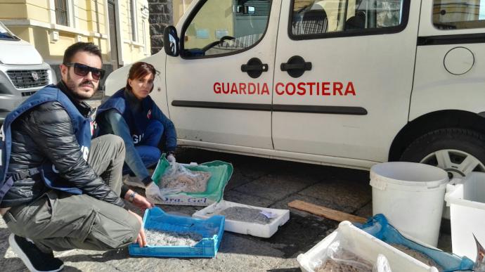 CATANIA: CONTROLLI DELLA GUARDIA COSTIERA, SEQUESTRATI 1500 CHILI DI PESCE - FOTO