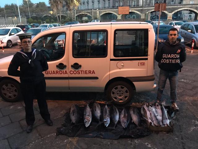CATANIA: CONTROLLI DELLA GUARDIA COSTIERA, SEQUESTRATI 1500 CHILI DI PESCE - FOTO