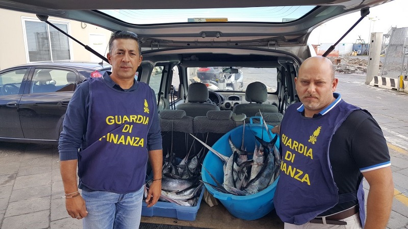 CATANIA: LA GUARDIA DI FINANZA SEQUESTRA 185 CHILI DI PESCE SPADA NOVELLO - FOTO