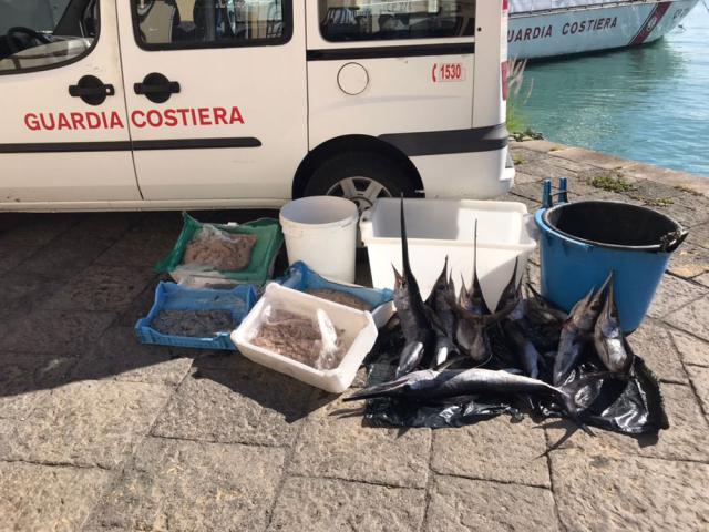 CATANIA: CONTROLLI DELLA GUARDIA COSTIERA, SEQUESTRATI 1500 CHILI DI PESCE - FOTO