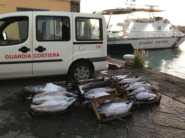 CATANIA: CONTROLLI DELLA GUARDIA COSTIERA, SEQUESTRATI 1500 CHILI DI PESCE - FOTO