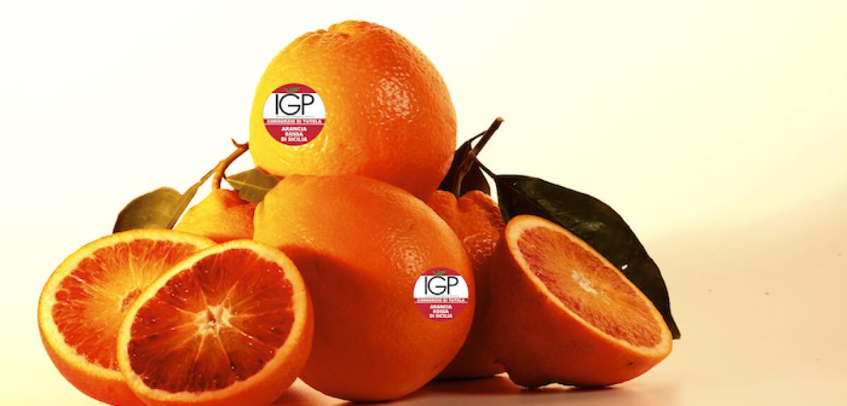 ARANCIA ROSSA DI SICILIA IGP, DIFFUSE LE DATE DI COMMERCIALIZZAZIONE - 