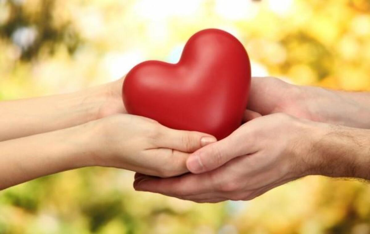 CATANIA: Muore per ischemia cerebrale, donati fegato e reni di una 69enne catanese - 