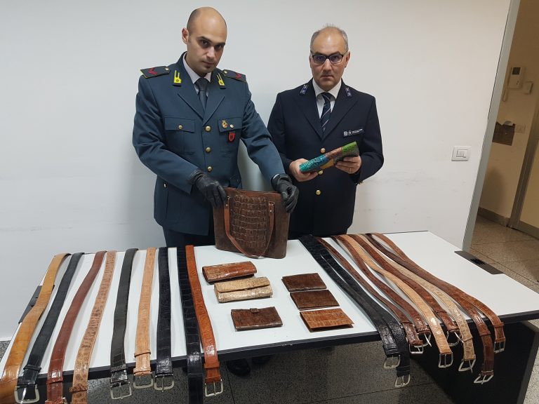 CATANIA: SBARCA ALL'AEROPORTO CON LA VALIGIA PIENA DI CINTURE DI PELLE DI COCCODRILLO