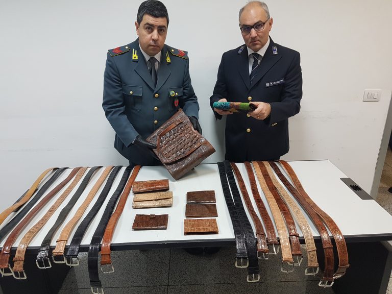 CATANIA: SBARCA ALL'AEROPORTO CON LA VALIGIA PIENA DI CINTURE DI PELLE DI COCCODRILLO