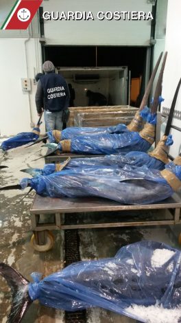 CATANIA: Controlli al Mercato, sequestrati dalla Capitaneria due tonnellate di pesce spada