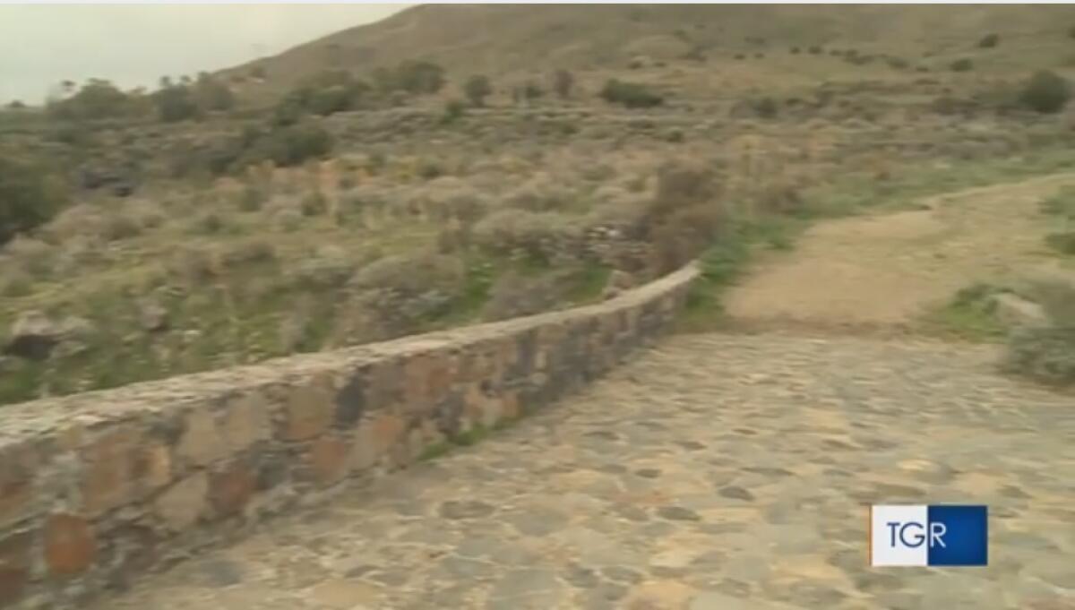 Paternò stamattina su Rai3 a “Buongiorno Regione” - VIDEO - 