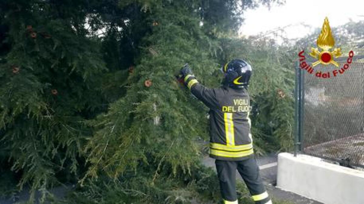 Tromba d’aria sul catanese: alberi e cartelloni divelti in città e provincia - 