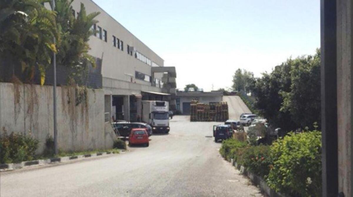 CATANIA: Imprenditore vicino a clan, sequestrata catena di supermercati - 