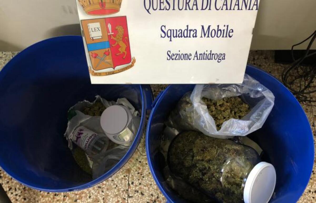 SAN GIOVANNI LA PUNTA: Arrestato, aveva a casa oltre un chilo di marijuana - 