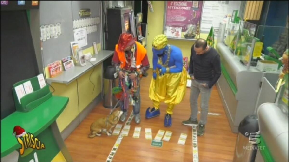 REGGIO CALABRIA: Il video di “Striscia la Notizia” del cane che annusa i gratta e vinci fortunati - 