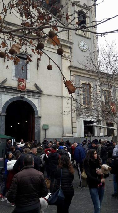 PATERNO': La benedizione degli animali in piazza Vittorio Veneto - LE FOTO
