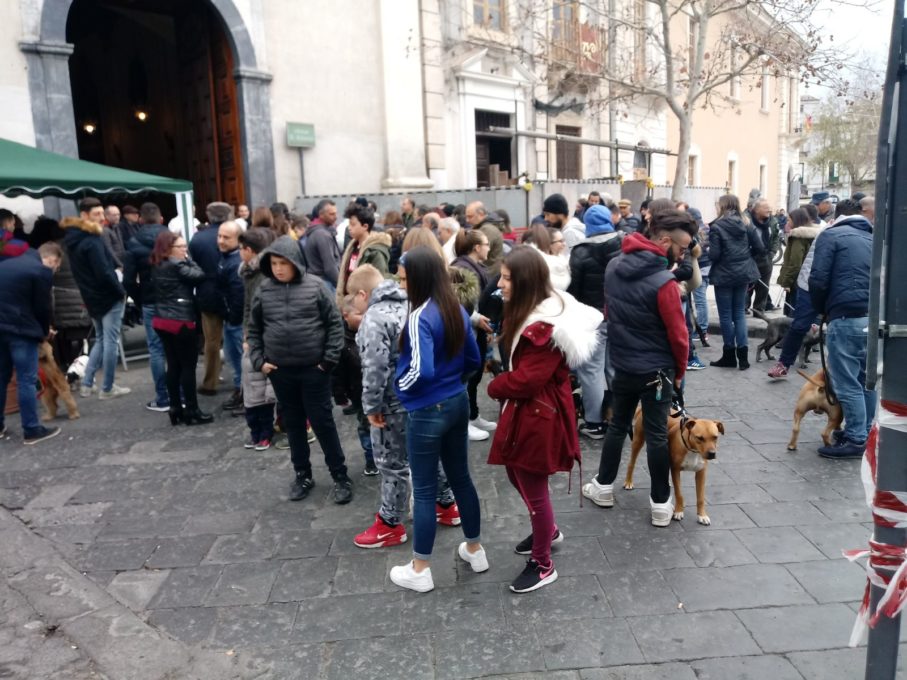 PATERNO': La benedizione degli animali in piazza Vittorio Veneto - LE FOTO