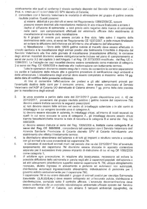 MOTTA SANT'ANASTASIA: Focolaio di salmonella in un allevamento di galline, in diecimila da abbattere
