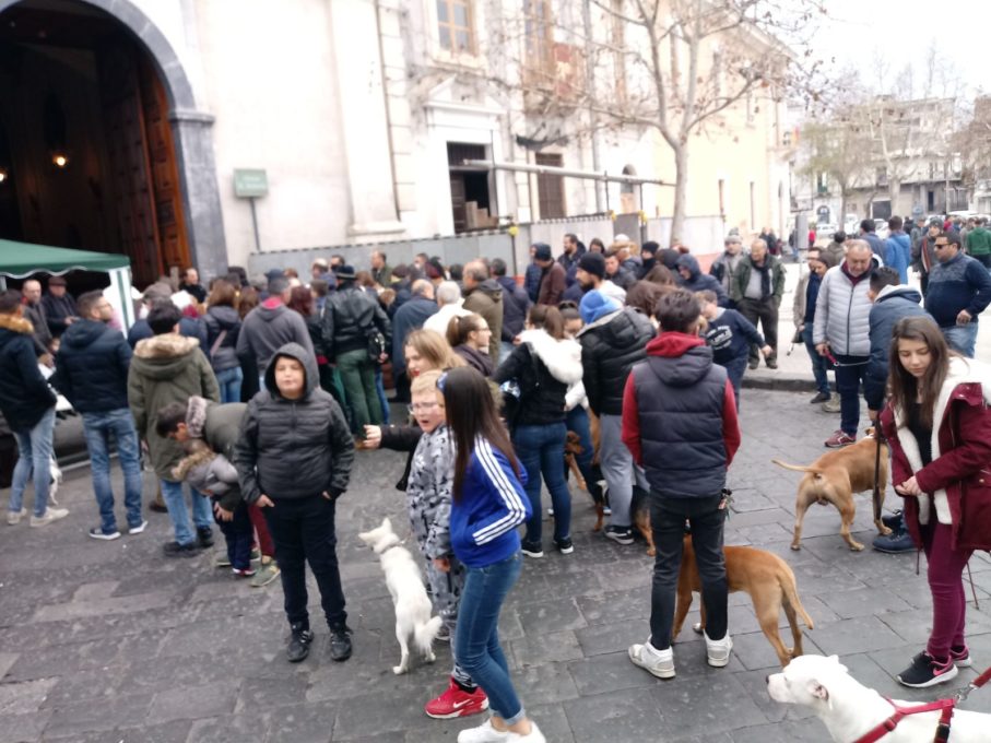 PATERNO': La benedizione degli animali in piazza Vittorio Veneto - LE FOTO