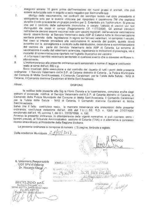 MOTTA SANT'ANASTASIA: Focolaio di salmonella in un allevamento di galline, in diecimila da abbattere