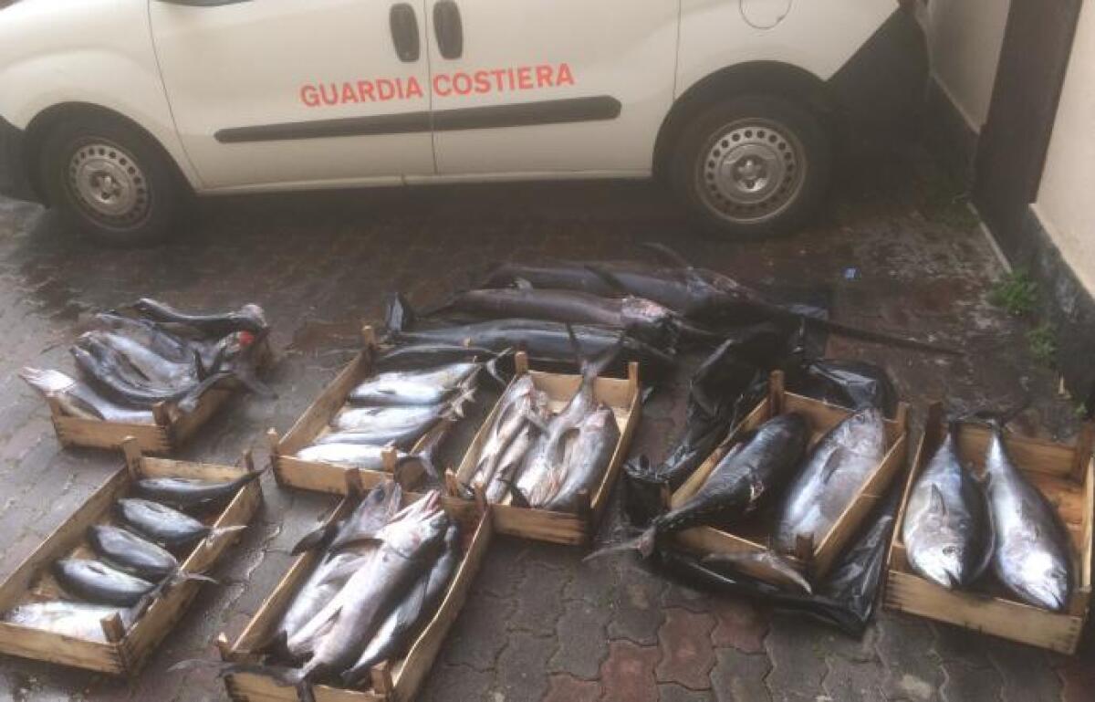 RIPOSTO: Pesca "fuori legge", lasciano pesce in spiaggia e fuggono via mare - 