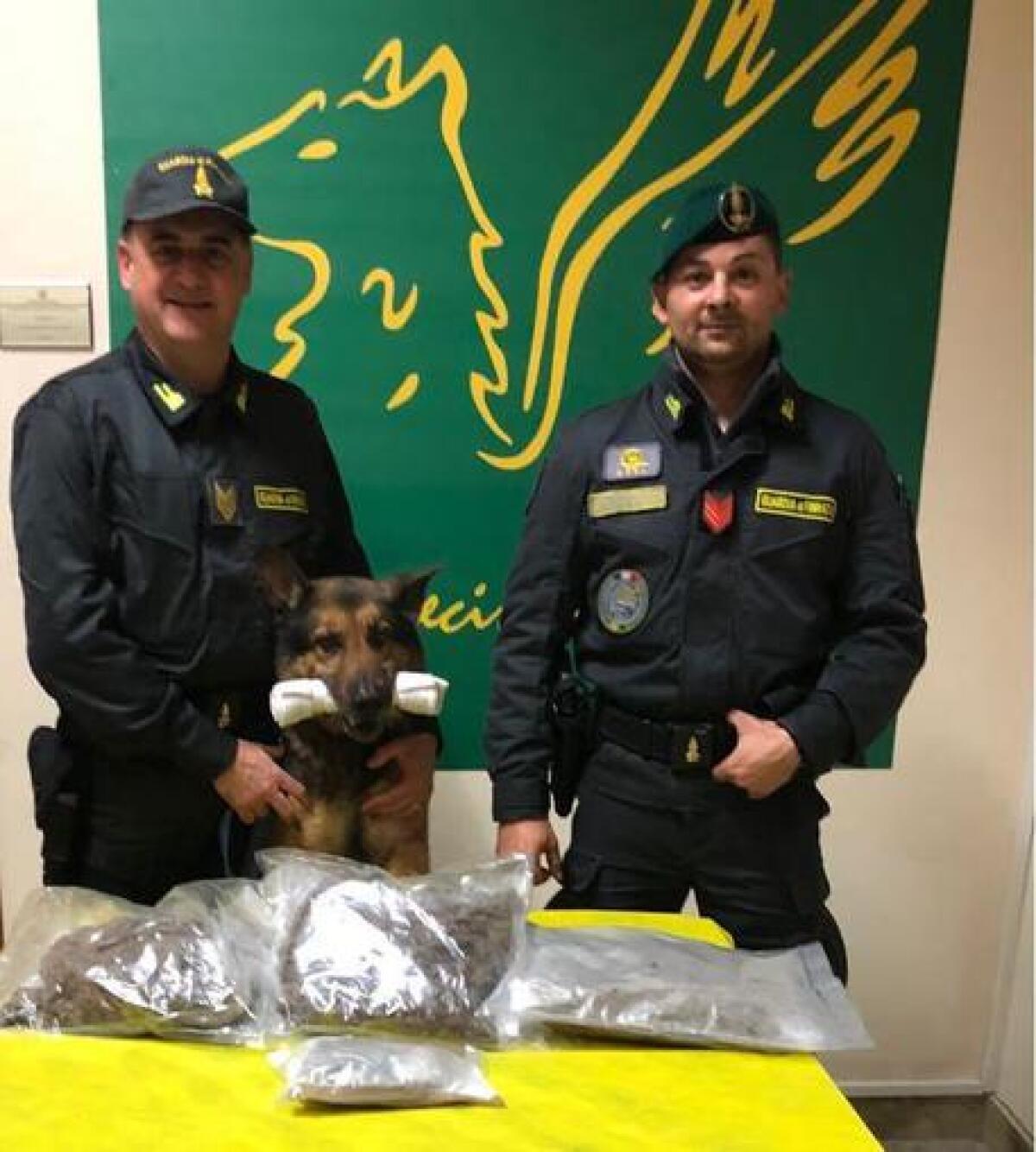 CATANIA: 1,8 kg marijuana in auto, Gdf lo arresta - 